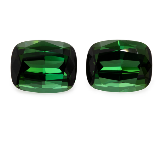 Tourmaline Pair - green, cushion, 14.4x11.4 mm, 19.52 cts, No. TR98001