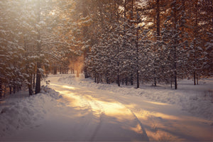Winterkollektion 2022